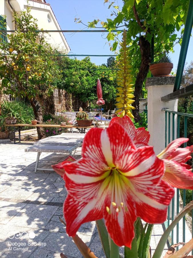 B&B Sopra Il Borgo Finale Ligure Exterior foto