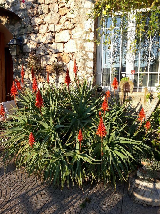 B&B Sopra Il Borgo Finale Ligure Exterior foto