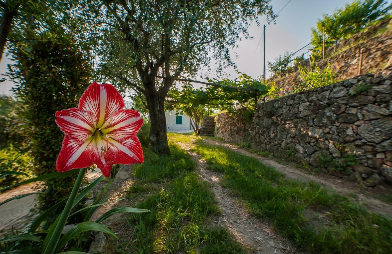 B&B Sopra Il Borgo Finale Ligure Exterior foto