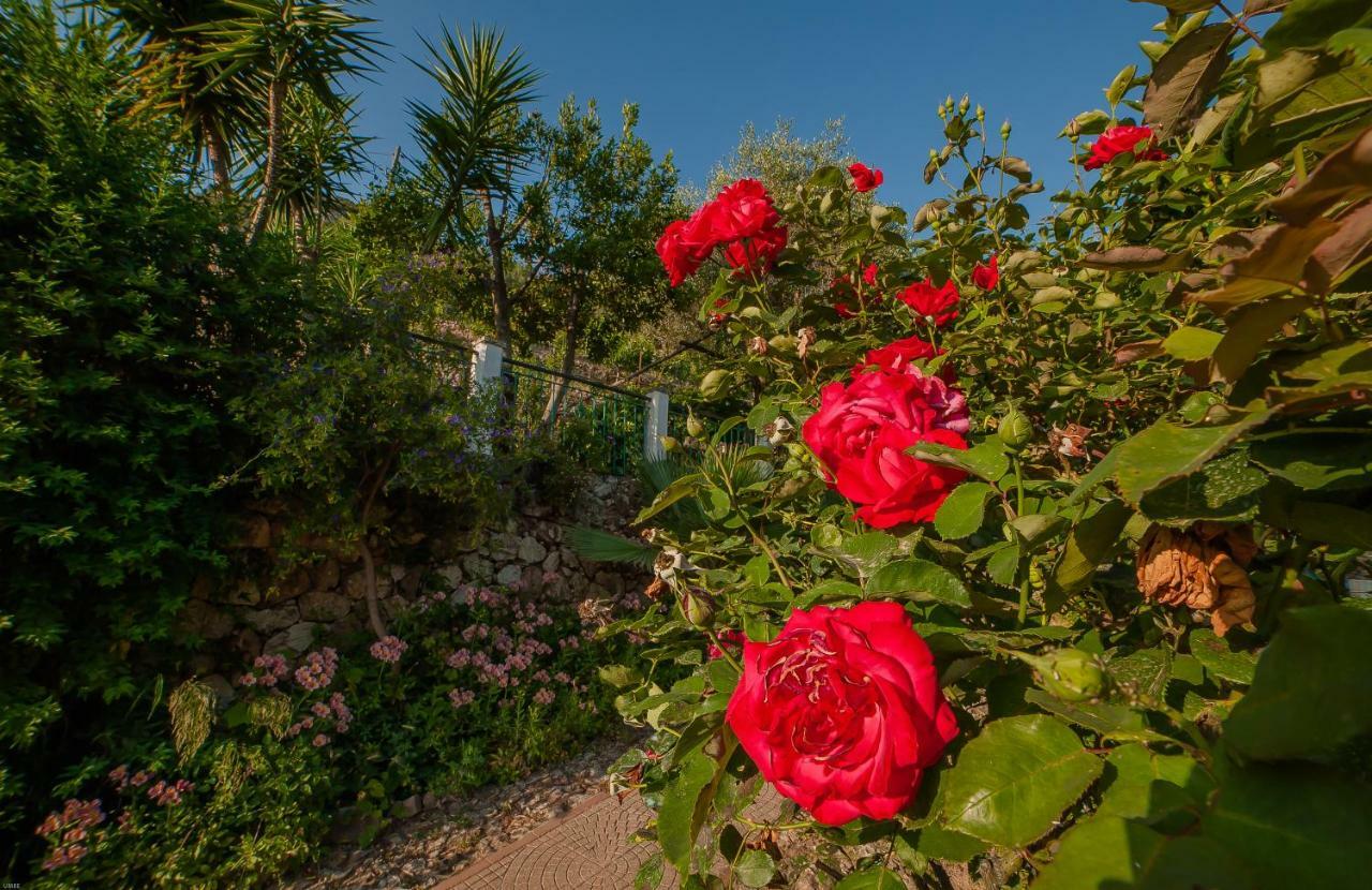 B&B Sopra Il Borgo Finale Ligure Exterior foto